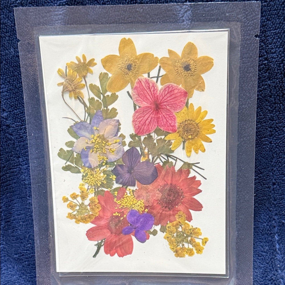 Pressed Flower Art Print - Multi-Color Botanical Card